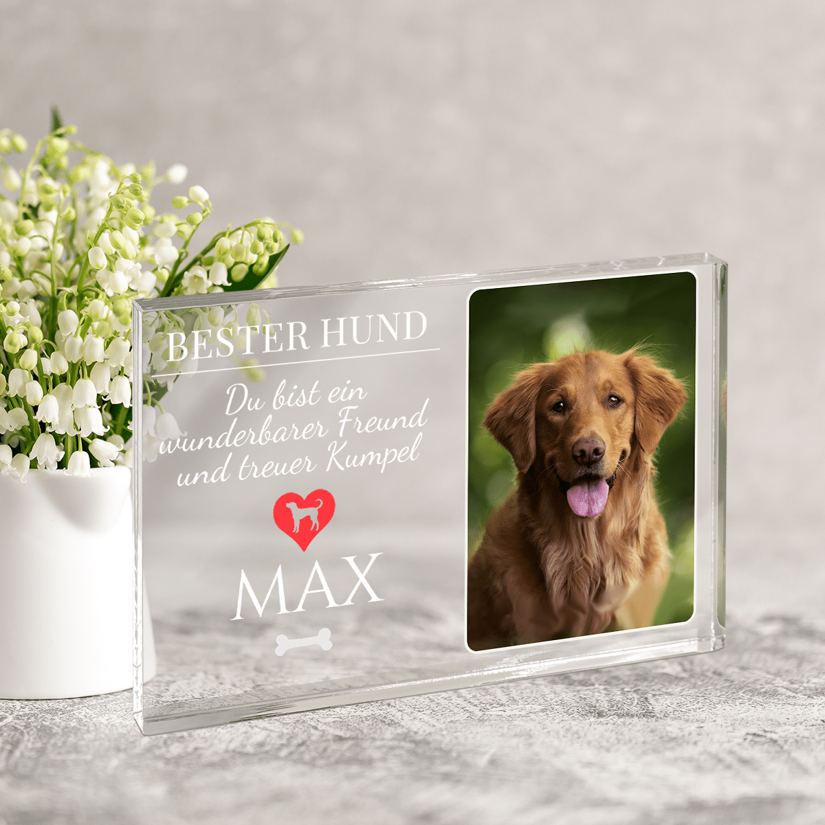 für Hundeliebhaber, Adamell.de