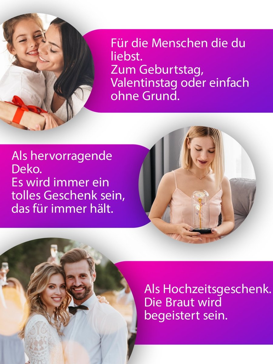 ewige rose im glas, Adamell.de