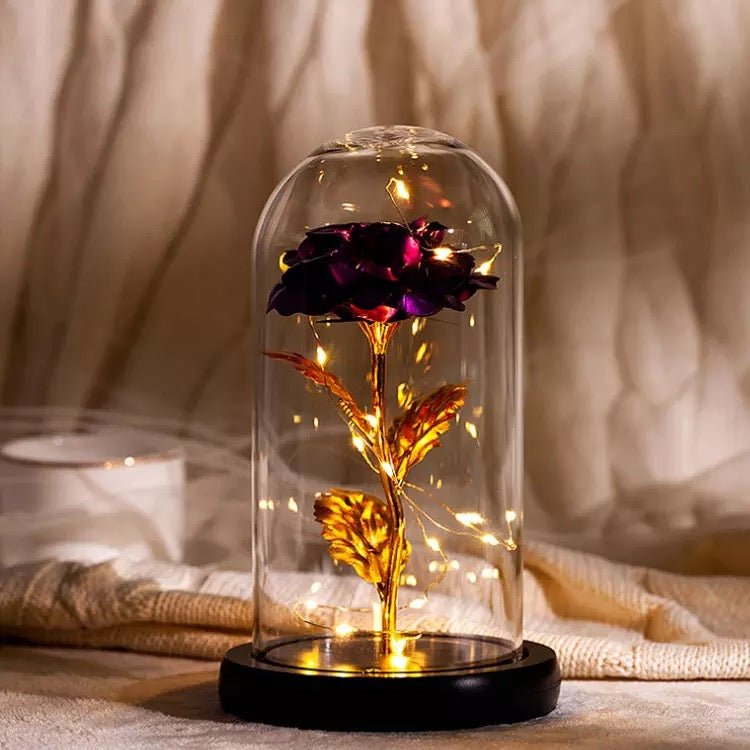 ewige rose im glas, Adamell.de