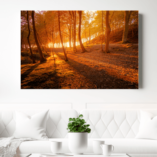 Wald bei Sonnenuntergang - Bild auf Leinwand, originelles Geschenk für Frau - Adamell.de