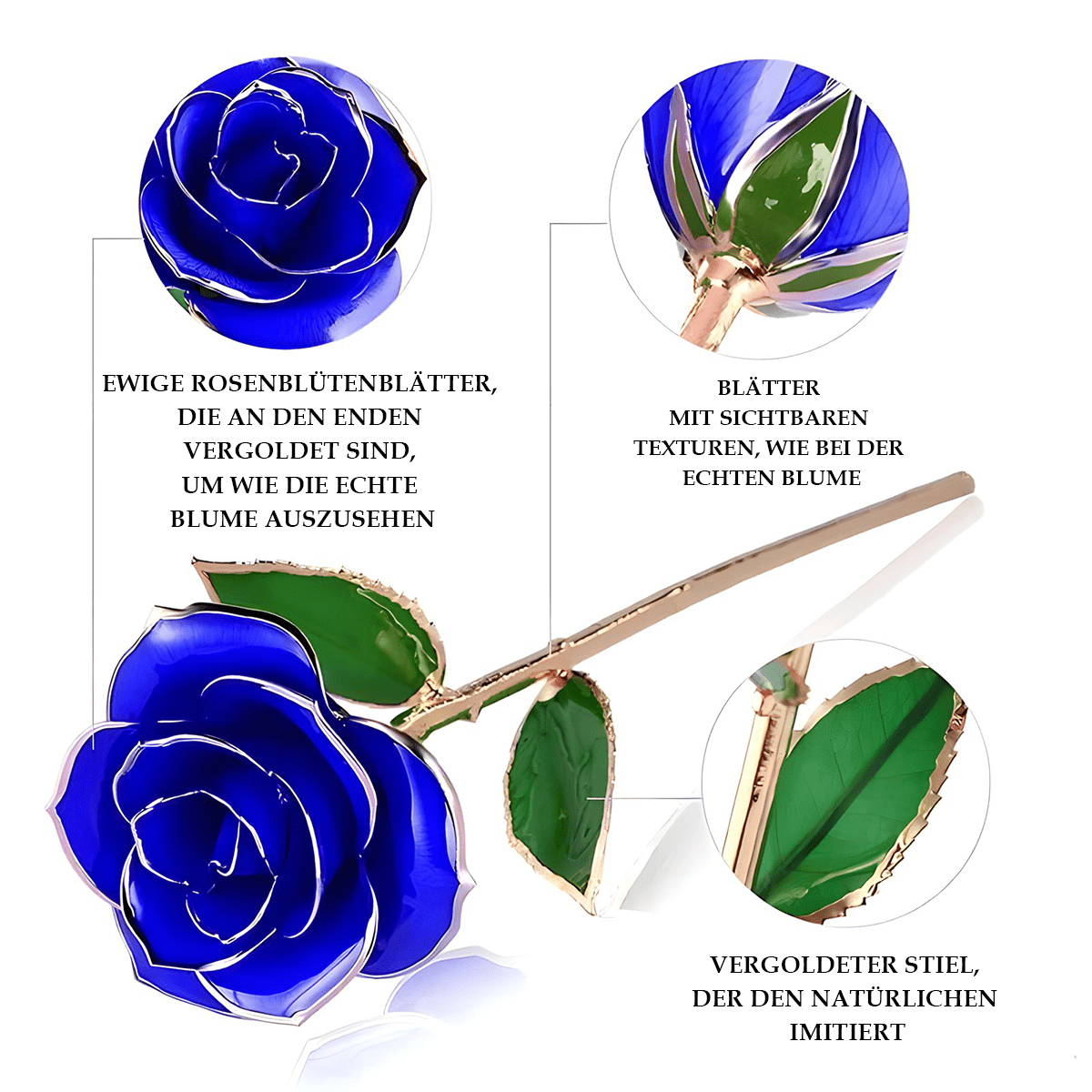 ewige rose, Adamell.de