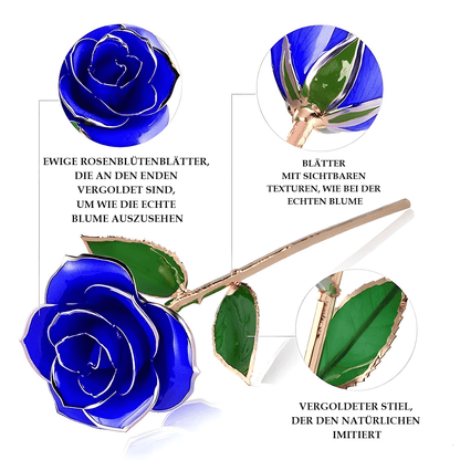 ewige rose, Adamell.de