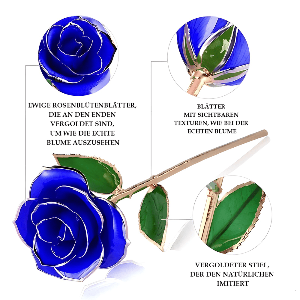 ewige rose, Adamell.de