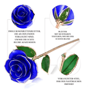 ewige rose, Adamell.de