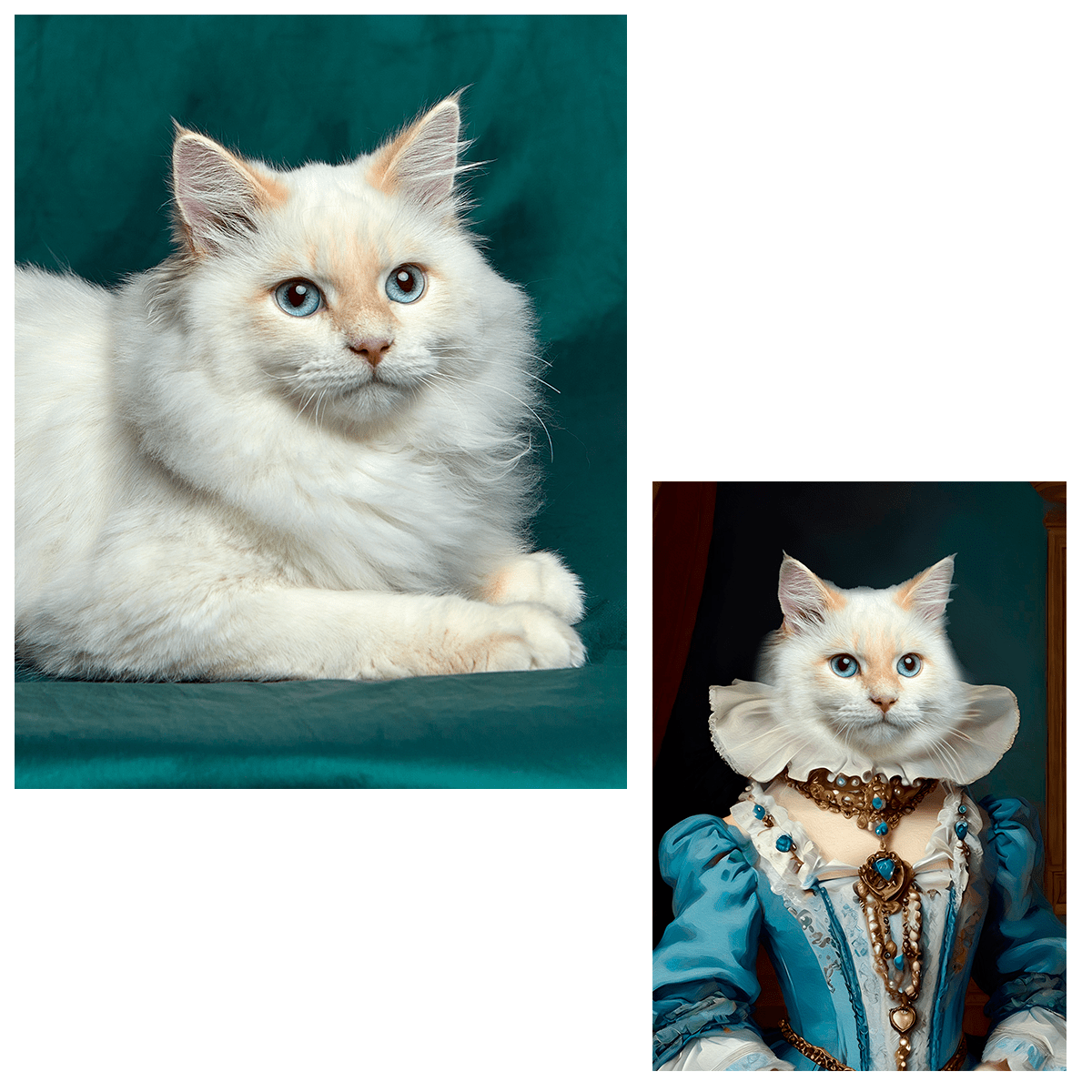 für Katzenliebhaber, Adamell.de