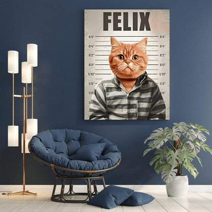 für Katzenliebhaber, Adamell.de
