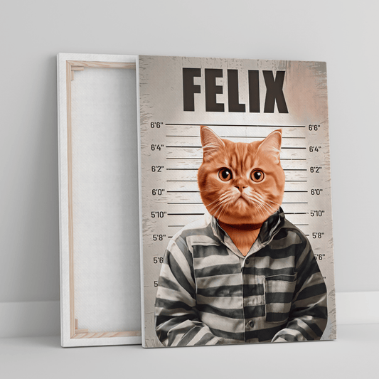 für Katzenliebhaber, Adamell.de