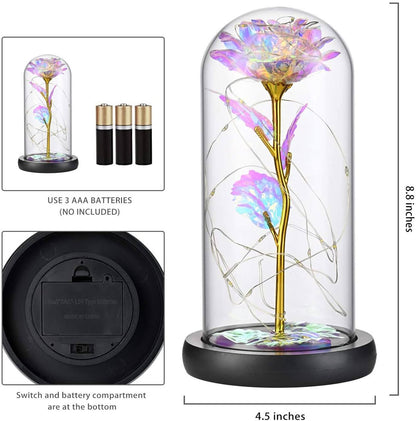 ewige rose im glas, Adamell.de