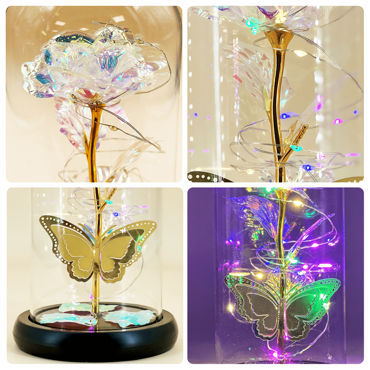 ewige rose im glas, Adamell.de