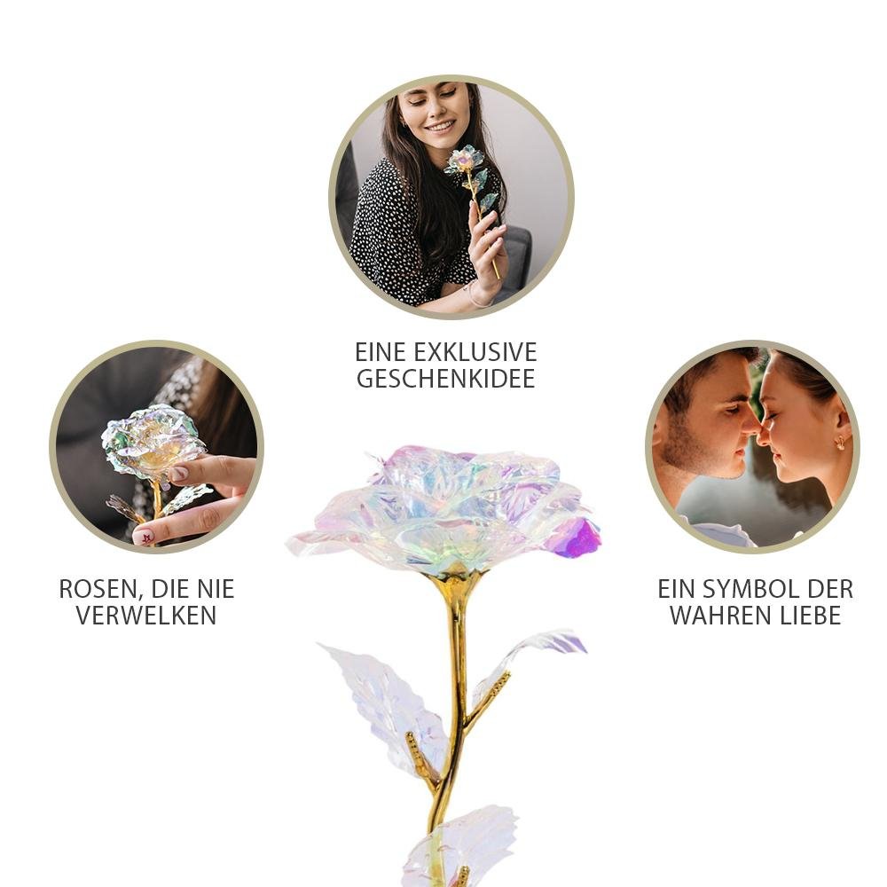 ewige rose, Adamell.de