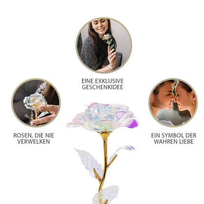 ewige rose, Adamell.de