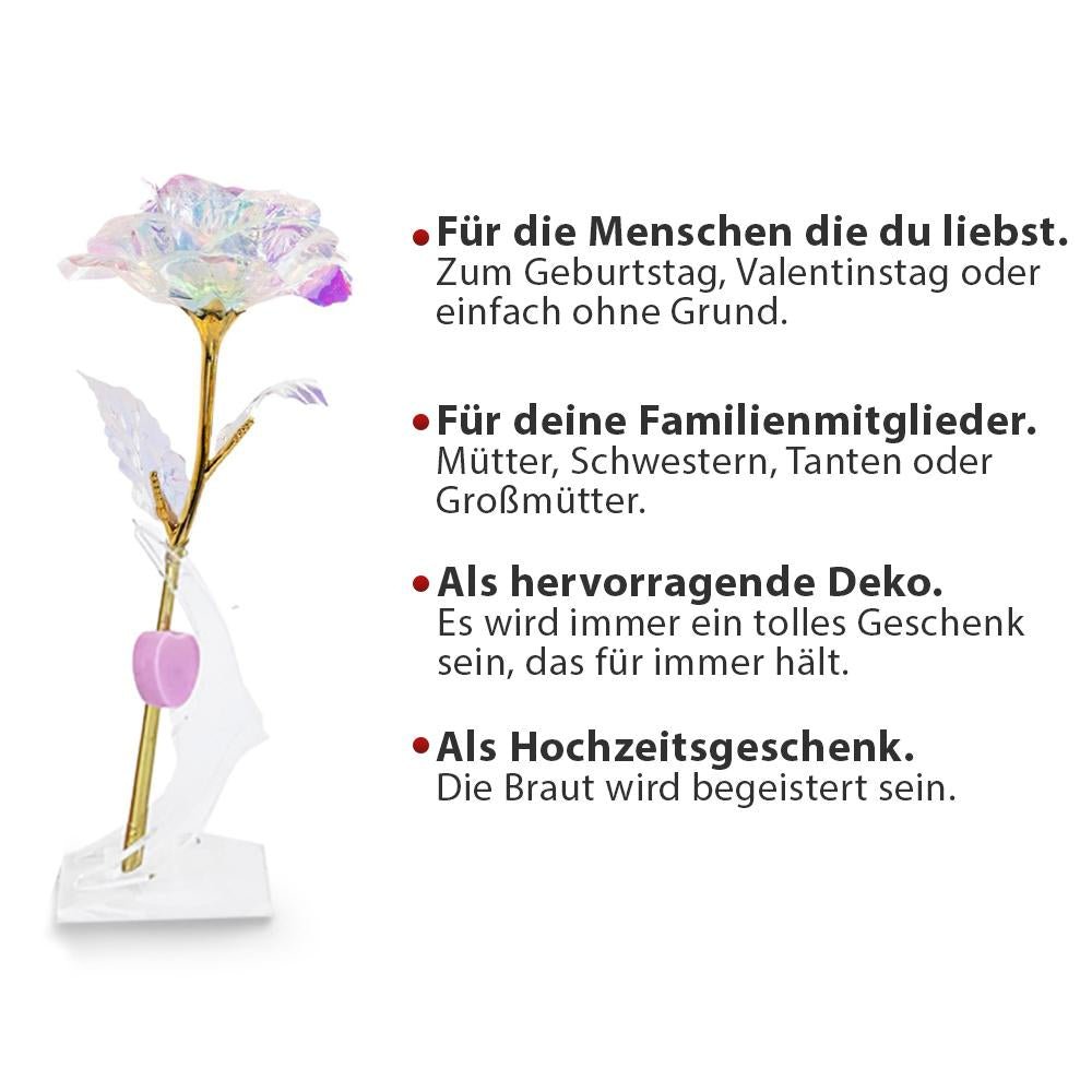 ewige rose, Adamell.de