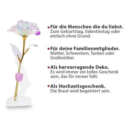 ewige rose, Adamell.de