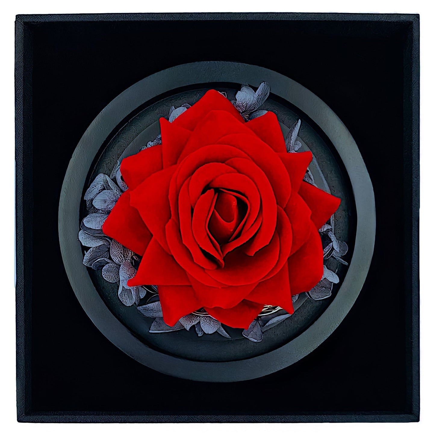 ewige rose, Adamell.de