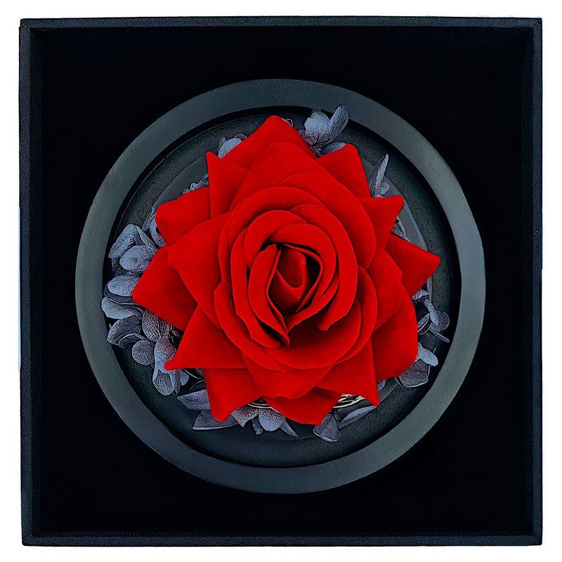 Ewige rote Rose in einer Glas LED-Kuppel + Kostenlose Geschenke enthalten