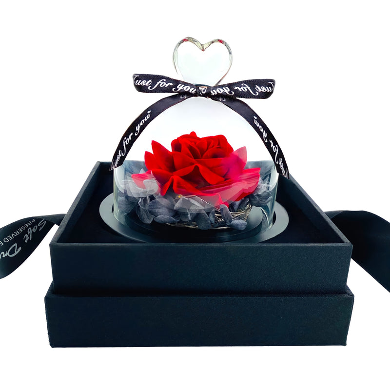 Ewige rote Rose in einer Glas LED-Kuppel + Kostenlose Geschenke enthalten