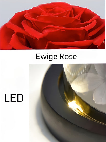 ewige rose, Adamell.de