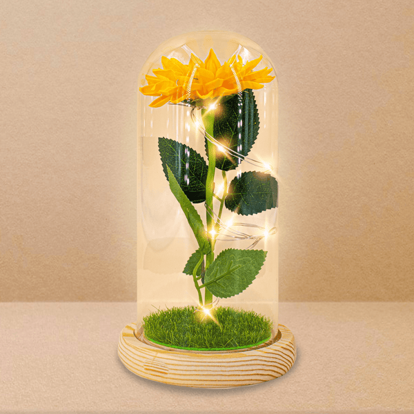 Ewige Sonnenblume im Glas LED - ewige Blume - Adamell.de