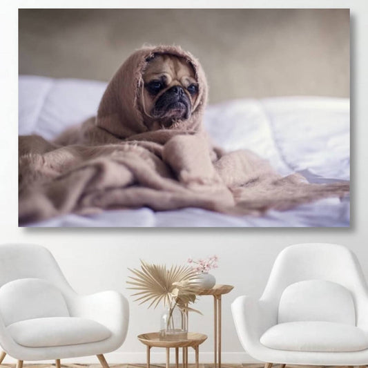 für Hundeliebhaber, Adamell.de