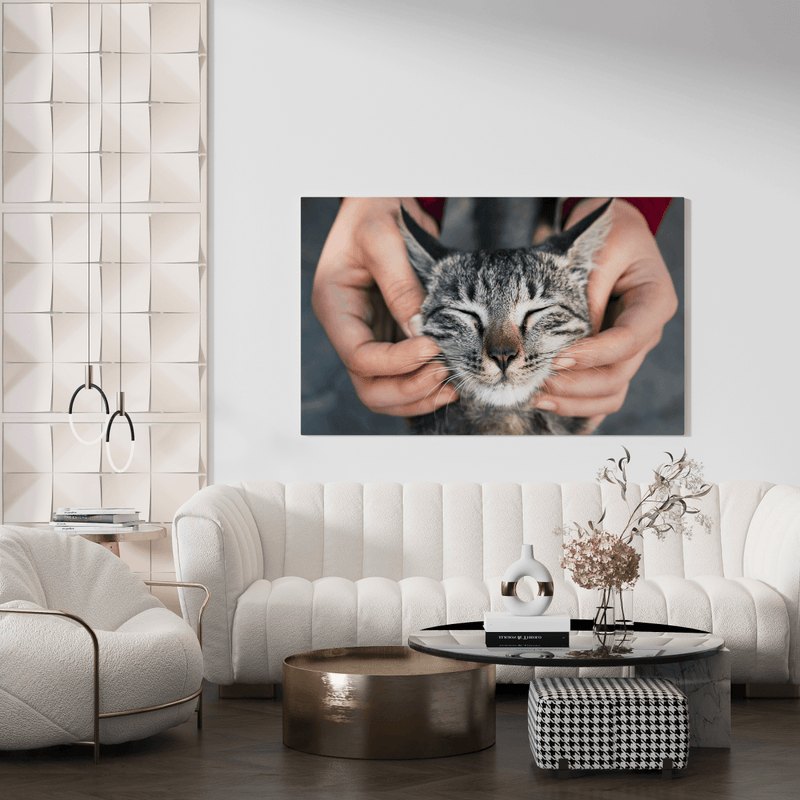 Foto der Katze - Druck auf Leinwand, personalisiertes Geschenk - Adamell.de