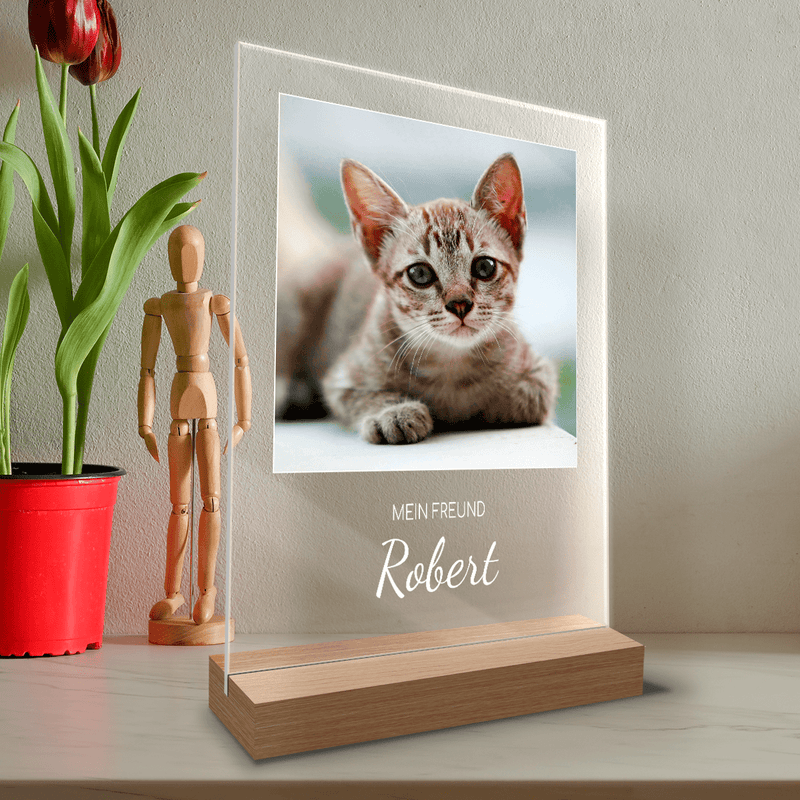 Foto einer Katze + Bildunterschrift - Druck auf Glas, personalisiertes Geschenk - Adamell.de