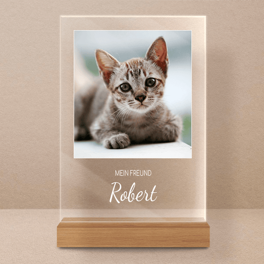 für Katzenliebhaber, Adamell.de