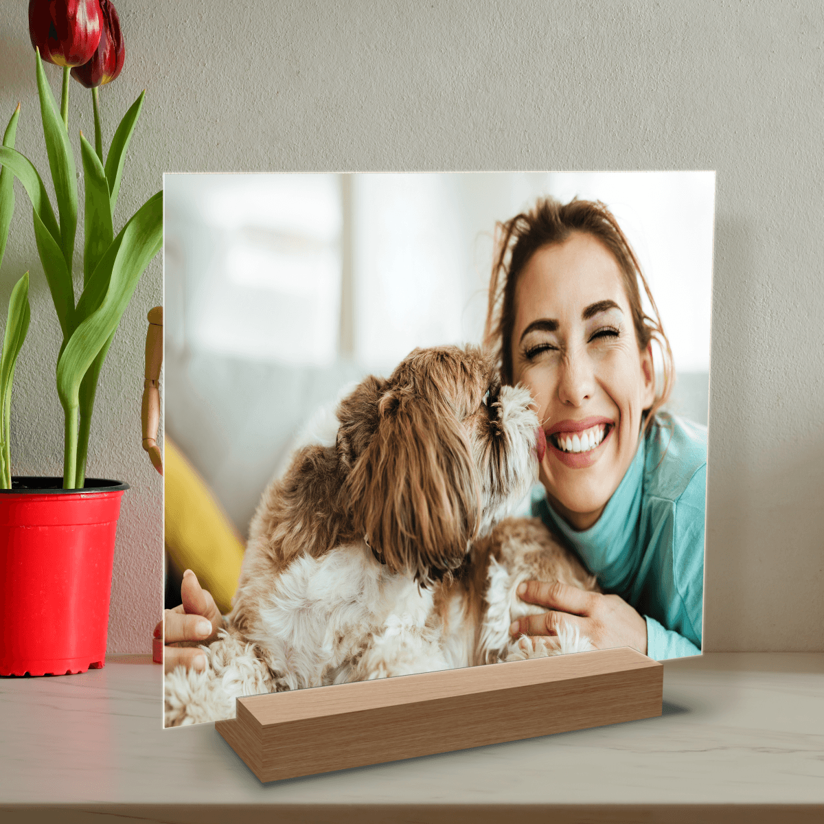 für Hundeliebhaber, Adamell.de