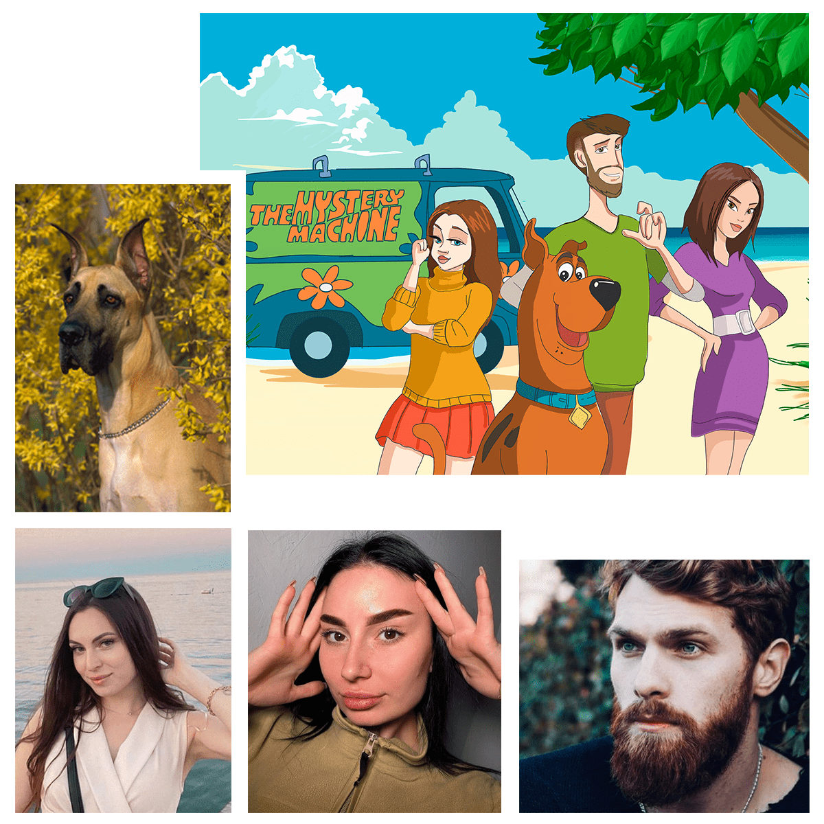 für Freund, Adamell.de