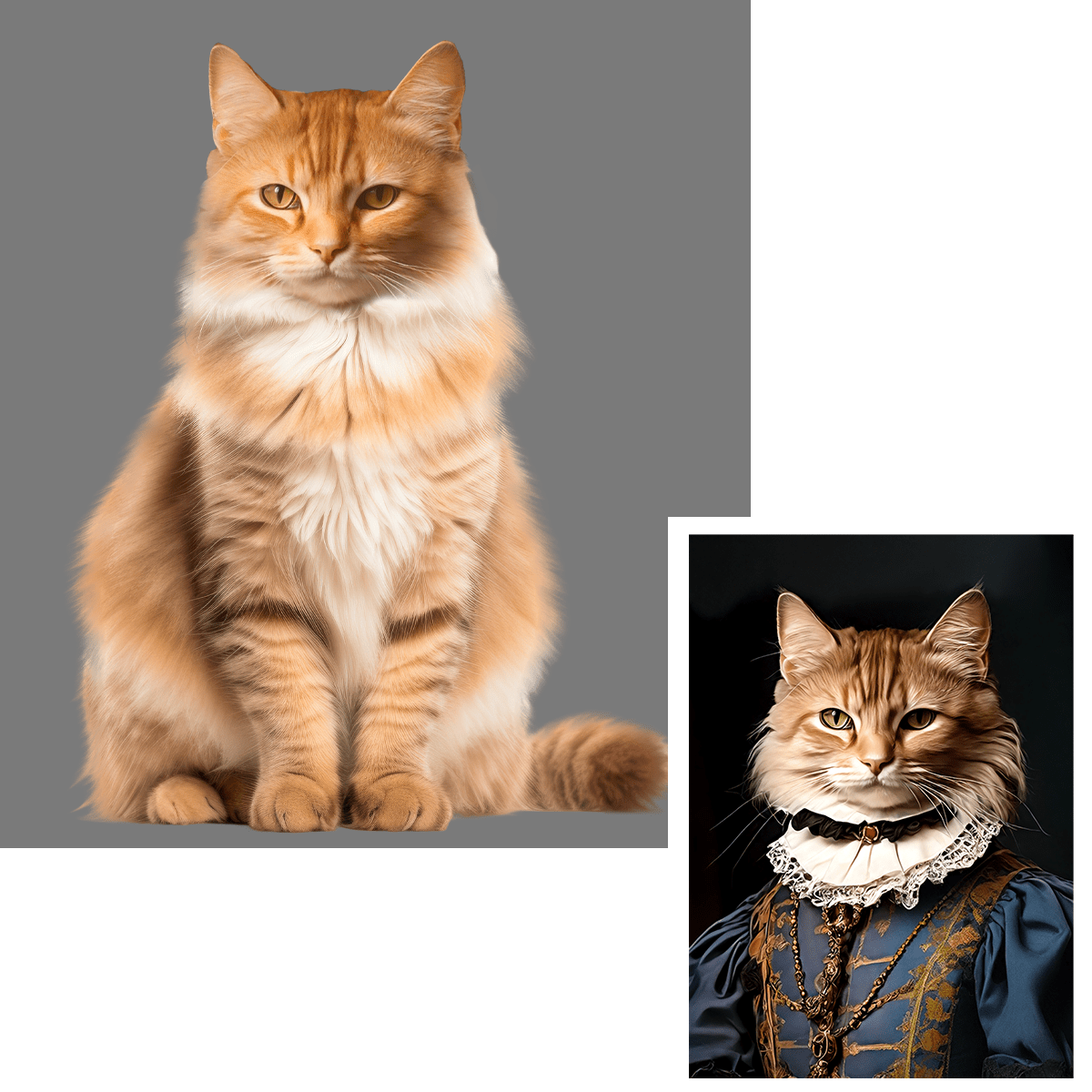 für Katzenliebhaber, Adamell.de