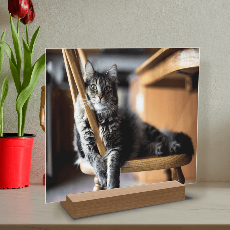 Haustierfotografie - Druck auf Glas, personalisiertes Geschenk - Adamell.de