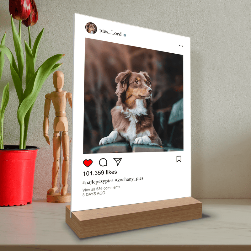 Hund Instagram - Druck auf Glas, personalisiertes Geschenk - Adamell.de