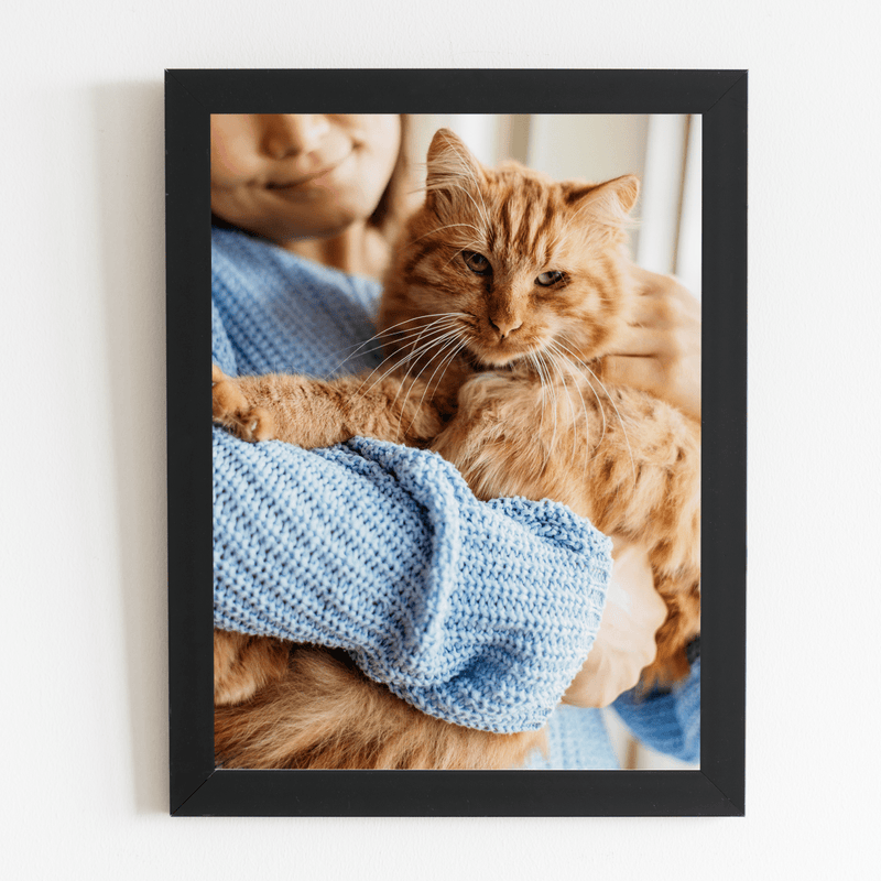 Katze - Druck auf Glas, personalisiertes Geschenk - Adamell.de