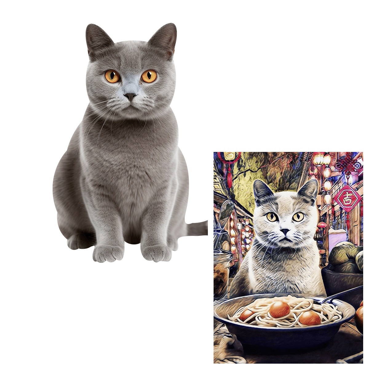 für Katzenliebhaber, Adamell.de