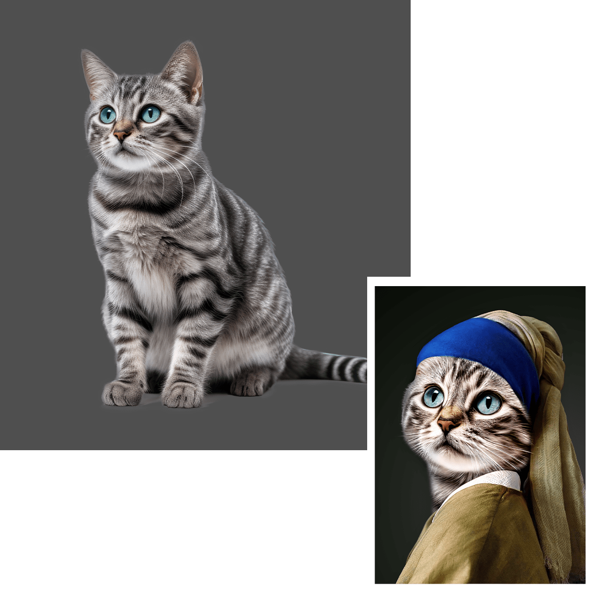 für Katzenliebhaber, Adamell.de