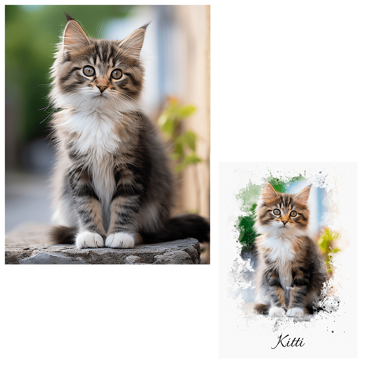 für Katzenliebhaber, Adamell.de