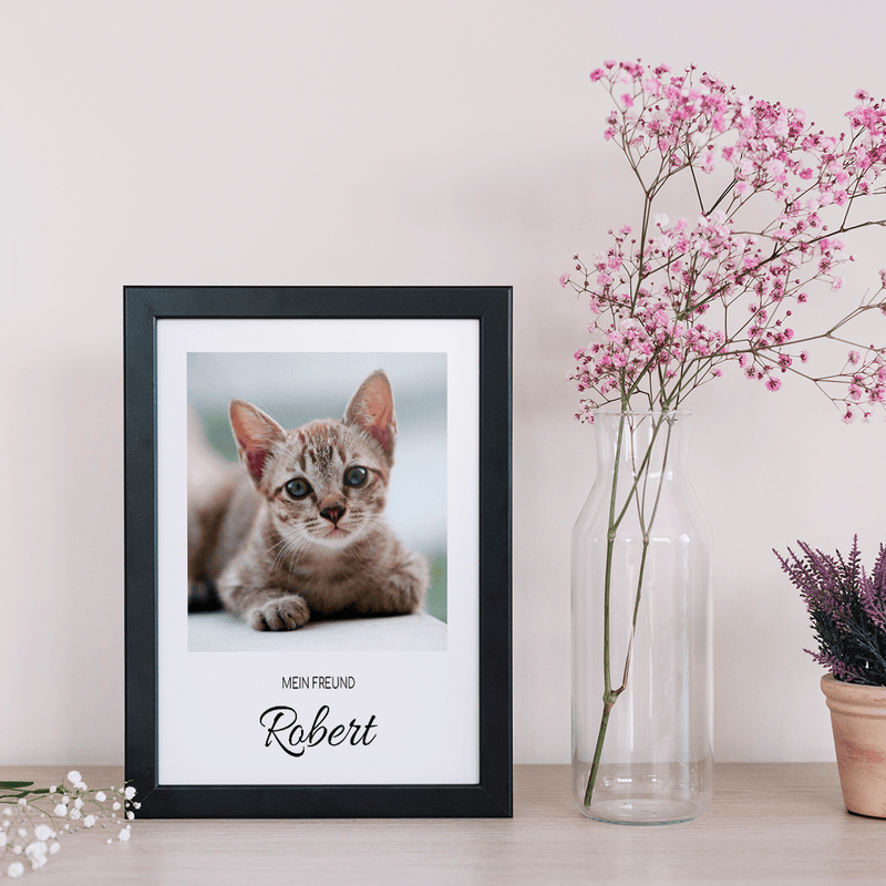 Katzenfotografie - Druck auf Glas, personalisiertes Geschenk für den Katzenliebhaber - Adamell.de