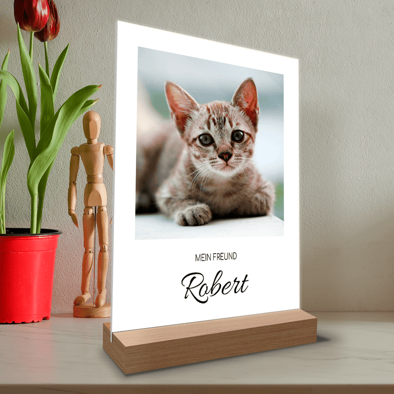 Katzenfotografie - Druck auf Glas, personalisiertes Geschenk für den Katzenliebhaber - Adamell.de