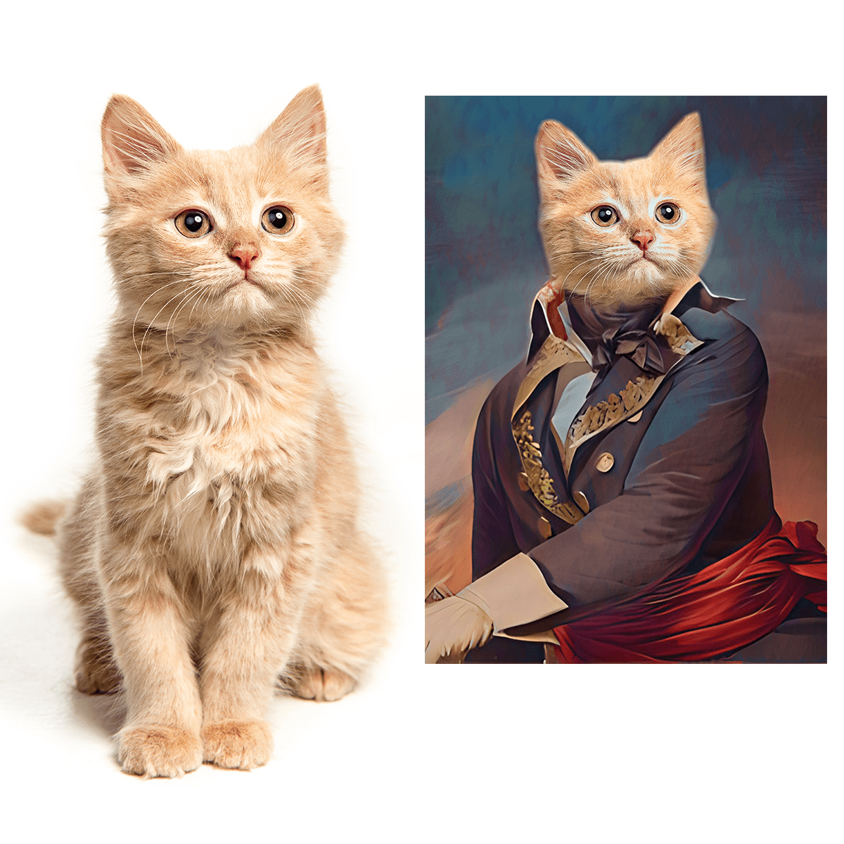 für Katzenliebhaber, Adamell.de