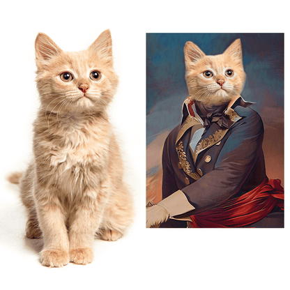 für Katzenliebhaber, Adamell.de