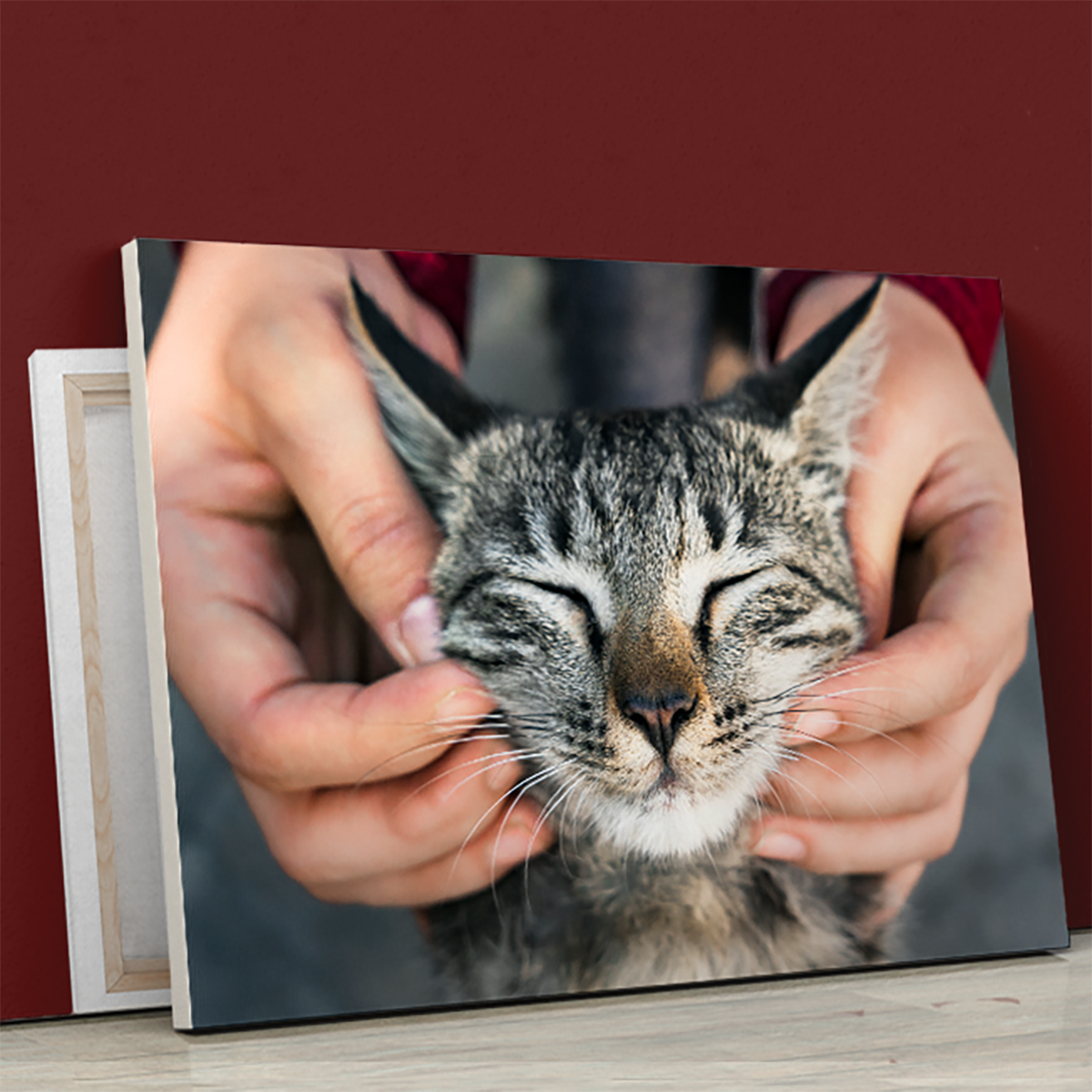 für Katzenliebhaber, Adamell.de