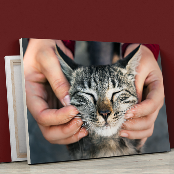 Foto der Katze - Druck auf Leinwand, personalisiertes Geschenk - Adamell.de