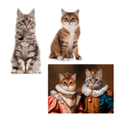 für Katzenliebhaber, Adamell.de