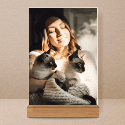 für Katzenliebhaber, Adamell.de