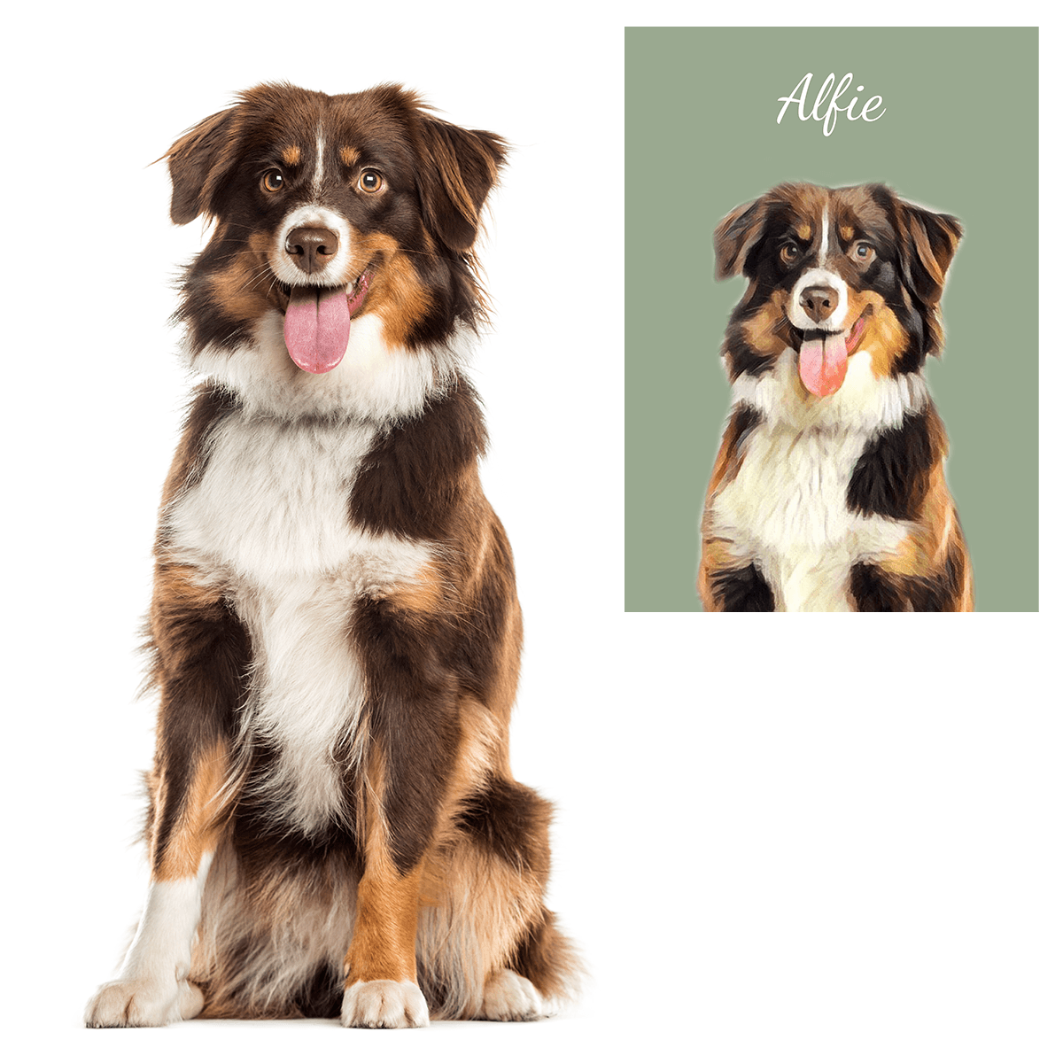 für Hundeliebhaber, Adamell.de