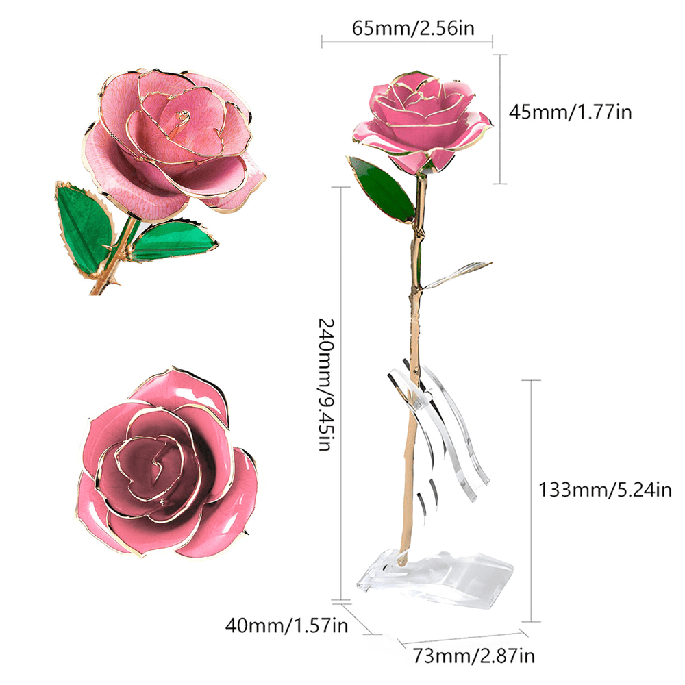 ewige rose, Adamell.de