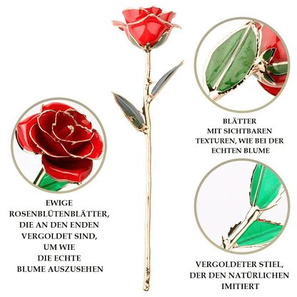 ewige rose, Adamell.de