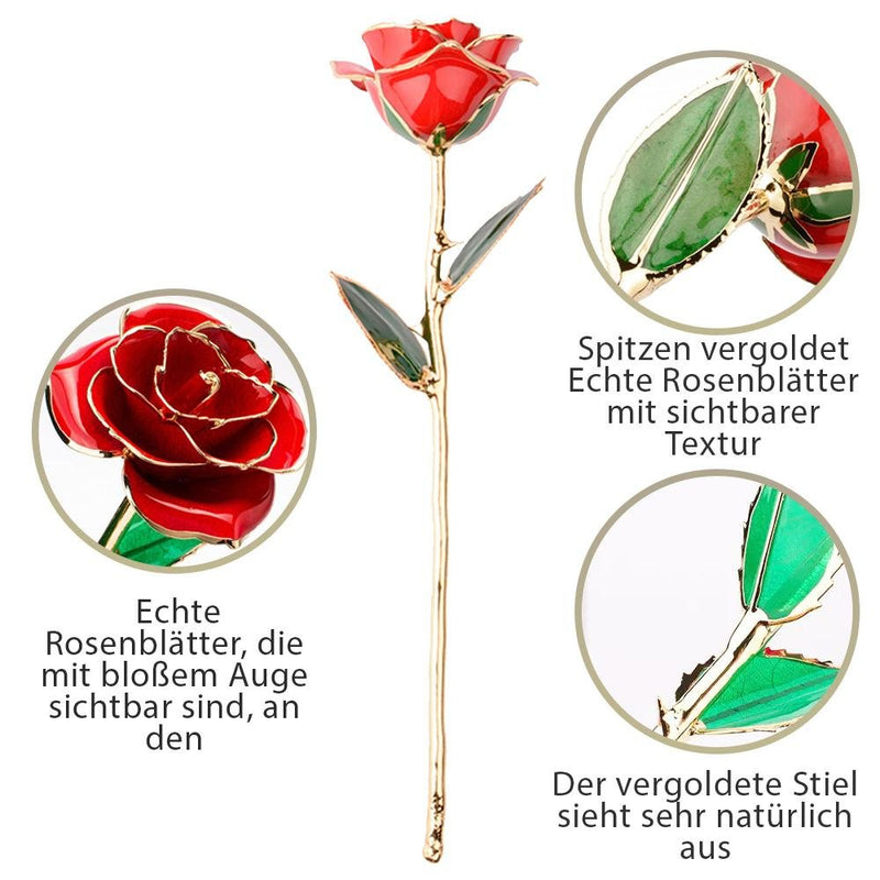 Schwarz ewige Rose in 24 Karat Gold gehüllt + Kostenlose Geschenke enthalten - Adamell.de