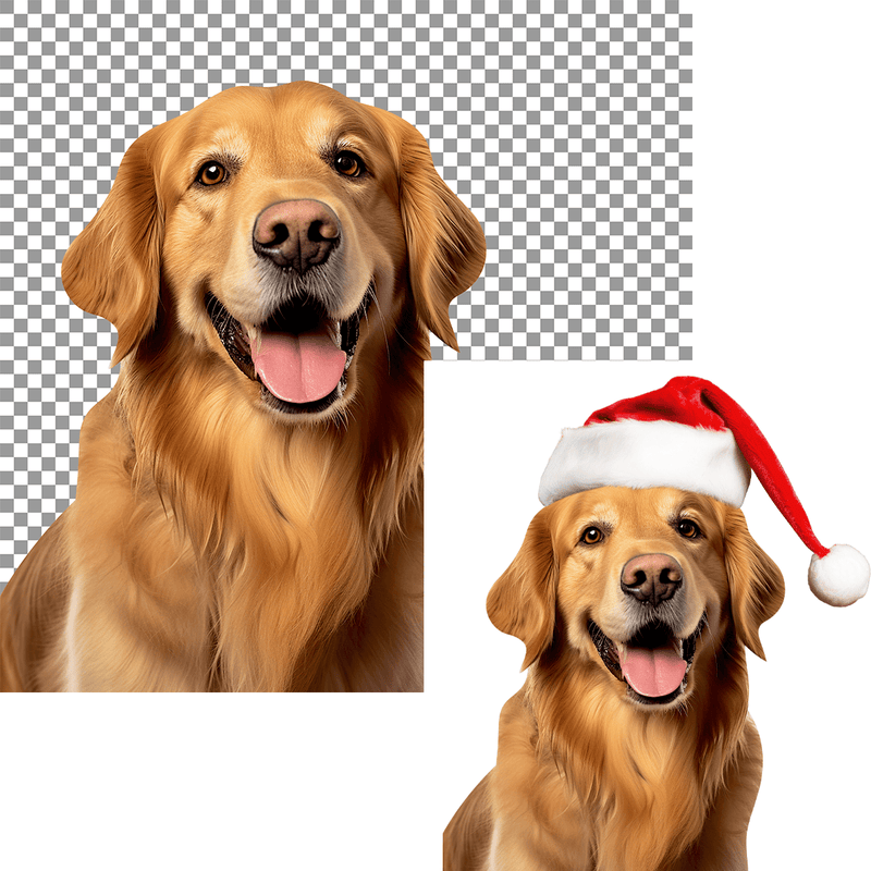 Weihnachts Hund - Druck auf Leinwand, personalisiertes Geschenk - Adamell.de