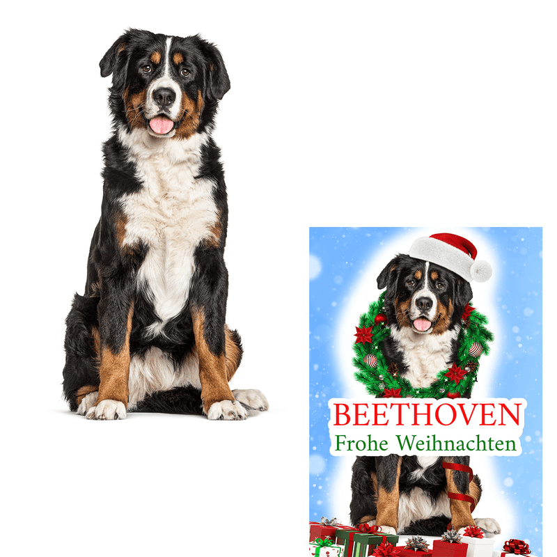 Weihnachtsposter mit Hund - Druck auf Leinwand, personalisiertes Geschenk für Hundebesitzer - Adamell.de