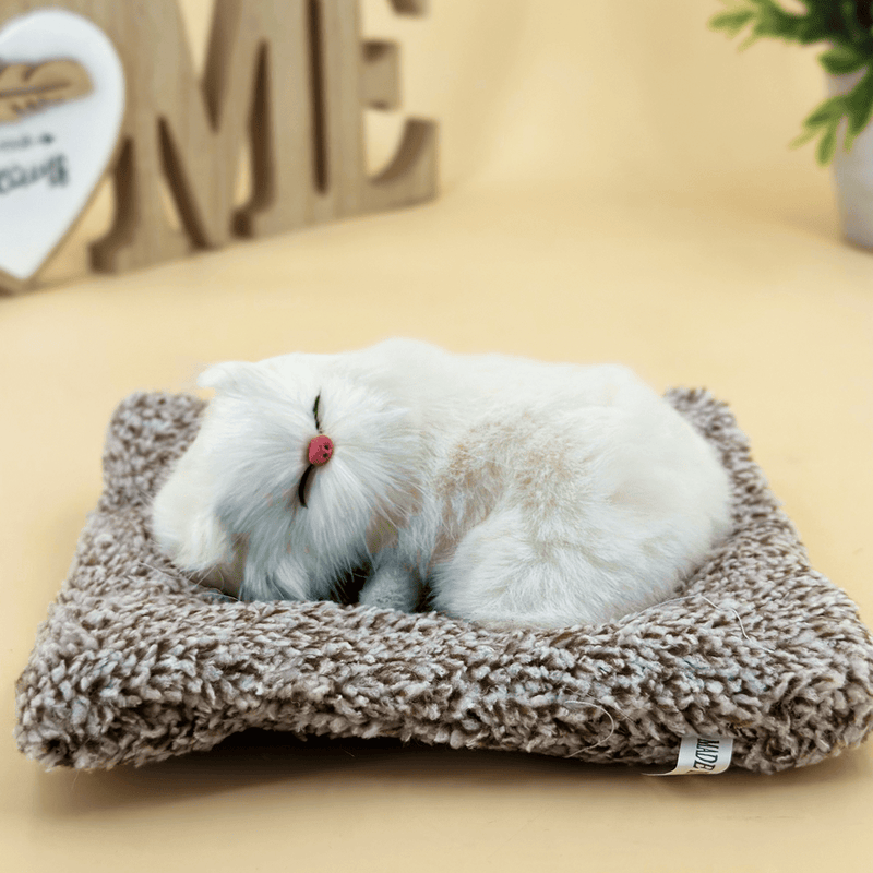 Weiße Katze auf Kopfkissen + LED - Katze in einer Schachtel, originelles Geschenk - Adamell.de